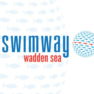 swimway-wadden-sea-visual