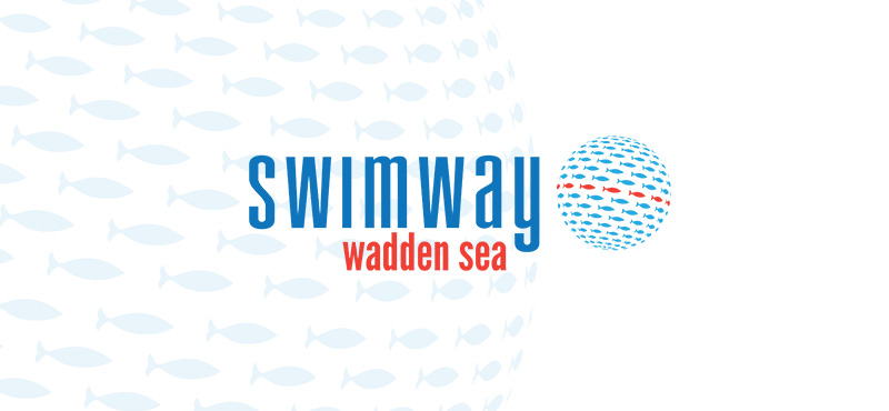 swimway-wadden-sea-visual