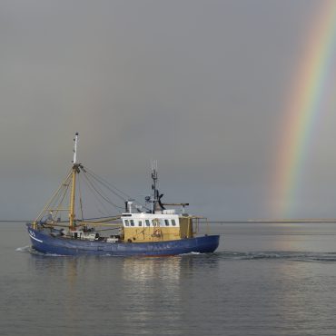Garnalenvisser vaart richting Waddenzee FOTO: Ronald Lanters