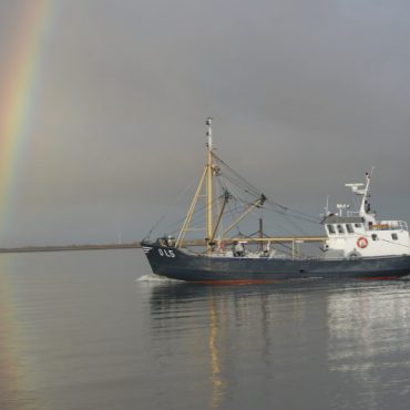 Garnalenvisser vaart richting Waddenzee FOTO: Ronald Lanters