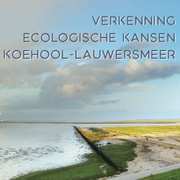 voorkant rapport verkenning ecologische kansen Koehool - Lauwersmeer