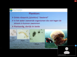 Plankton - onderwatercafe 
